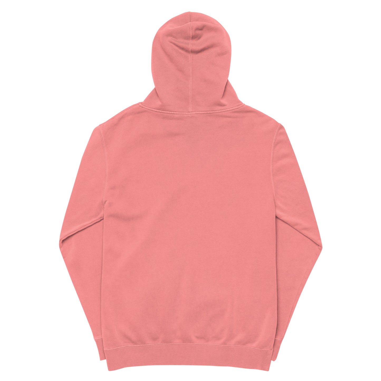Aeropicz symbol Unisex pigment-dyed hoodie