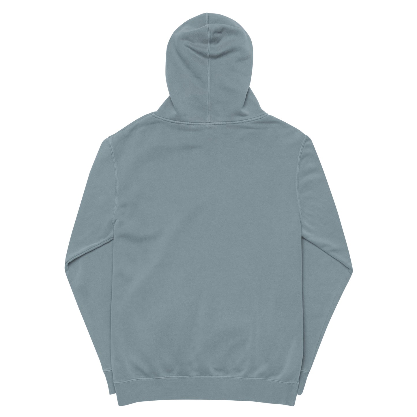 Aeropicz symbol Unisex pigment-dyed hoodie